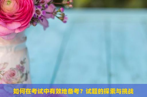 如何在考试中有效地备考？试题的探索与挑战