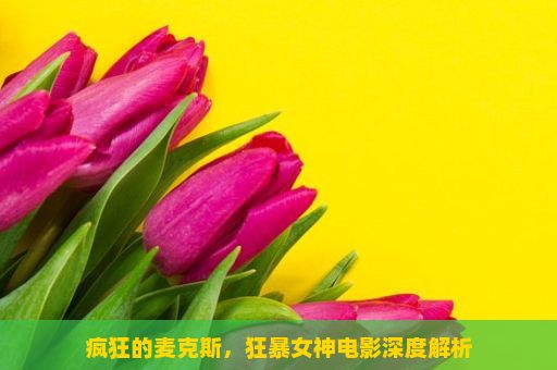 疯狂的麦克斯，狂暴女神电影深度解析