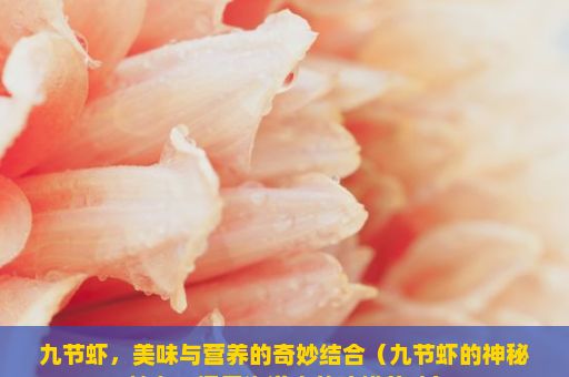 九节虾，美味与营养的奇妙结合（九节虾的神秘魅力，探索海洋中的珍馐美味）