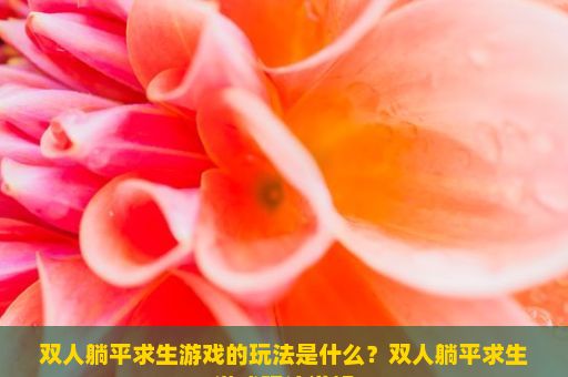 双人躺平求生游戏的玩法是什么？双人躺平求生游戏玩法详解