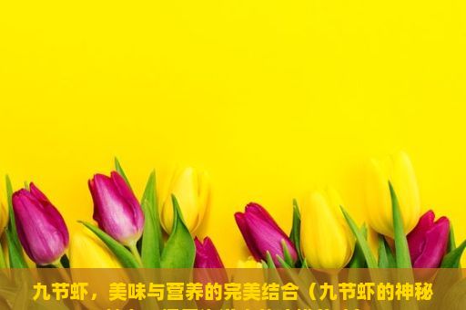 九节虾，美味与营养的完美结合（九节虾的神秘魅力，探索海洋中的珍馐美味）