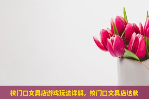 校门口文具店游戏玩法详解，校门口文具店这款游戏的玩法是什么？