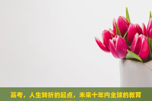 高考，人生转折的起点，未来十年内全球的教育问题与改革