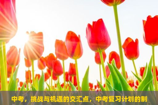 中考，挑战与机遇的交汇点，中考复习计划的制定与执行