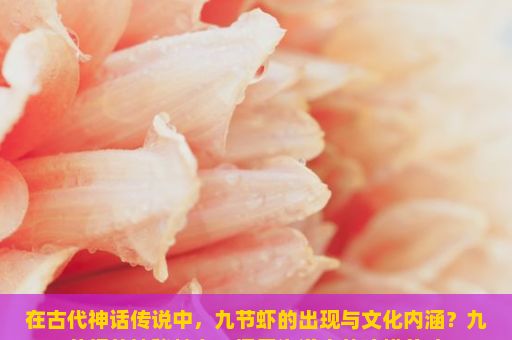 在古代神话传说中，九节虾的出现与文化内涵？九节虾的神秘魅力，探索海洋中的珍馐美味