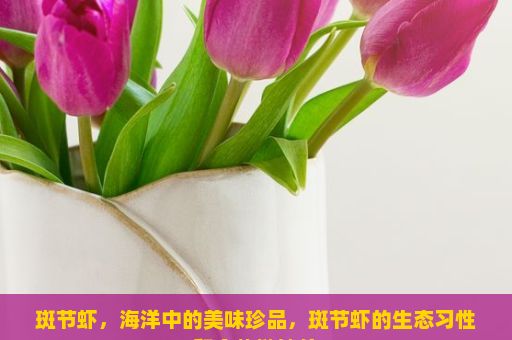 斑节虾，海洋中的美味珍品，斑节虾的生态习性和食物链地位