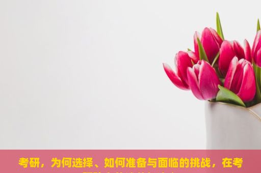 考研，为何选择、如何准备与面临的挑战，在考研路上的迷茫与决心