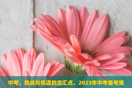 中考，挑战与机遇的交汇点，2023年中考备考策略解析