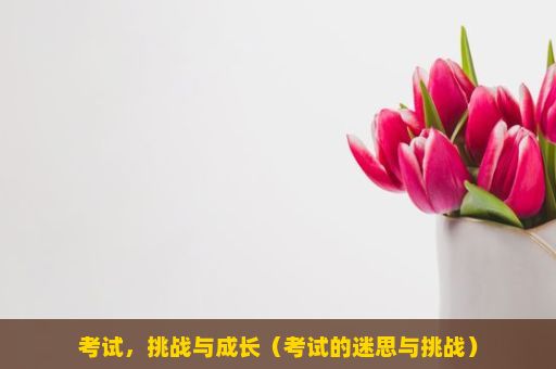 考试，挑战与成长（考试的迷思与挑战）