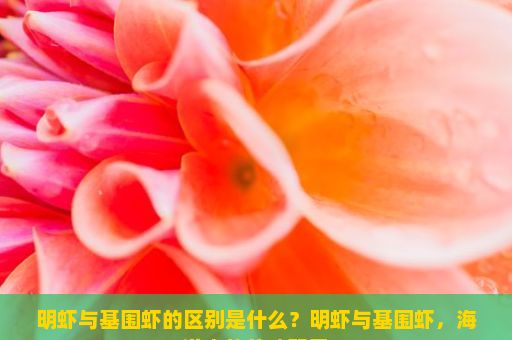 明虾与基围虾的区别是什么？明虾与基围虾，海洋中的美味双星