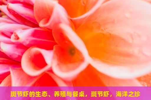 斑节虾的生态、养殖与餐桌，斑节虾，海洋之珍，美食之选