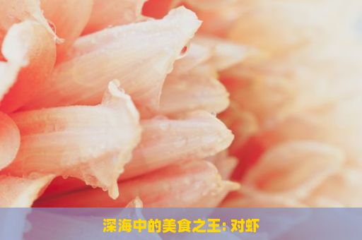 深海中的美食之王: 对虾