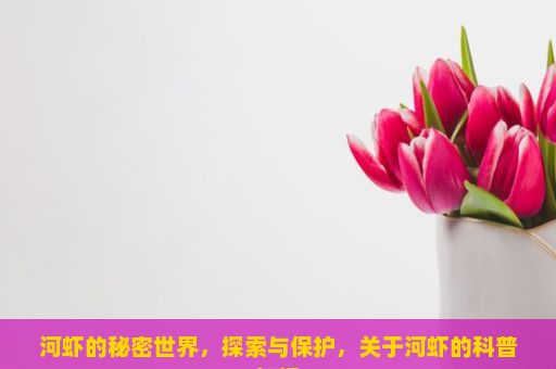 河虾的秘密世界，探索与保护，关于河虾的科普知识