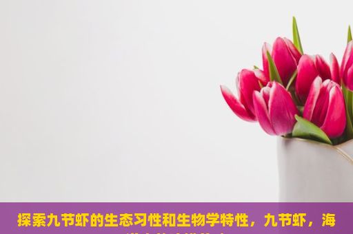 探索九节虾的生态习性和生物学特性，九节虾，海洋中的珍馐美味